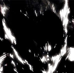 Meet your Posher, Kai